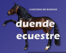caminos_del_cid001010.jpg