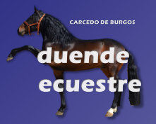 caminos_del_cid005024.jpg